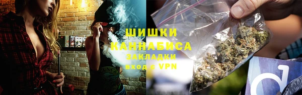 прущие грибы Армянск