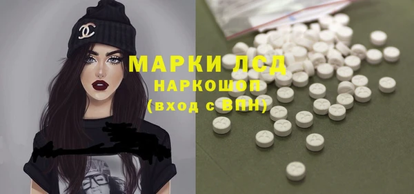 прущие грибы Армянск