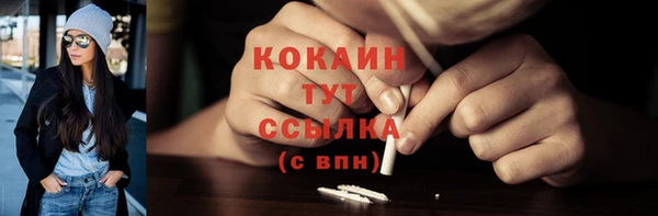 шишки Аркадак