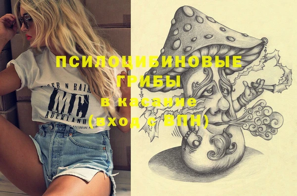 прущие грибы Армянск