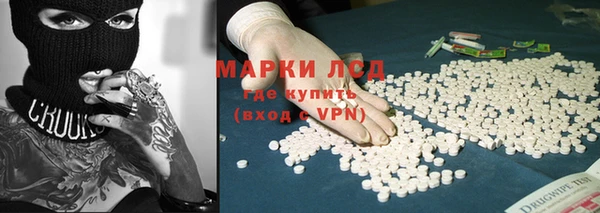 шишки Аркадак