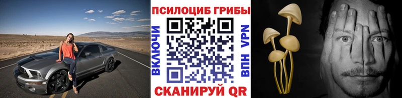 Галлюциногенные грибы Psilocybine cubensis  Карабаново 